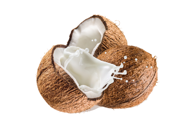 Noix de Coco